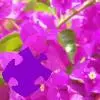 Bougainvillea Jigsaw Puzzle game