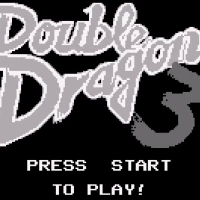 Double Dragon 3 - The Arcade Game (USA) Gameboy game