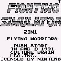 Fighting Simulator - 2-in-1 Flying Warriors (USA) Gameboy game