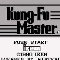 Kung-Fu Master (USA) Gameboy game