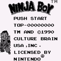 Ninja Boy (USA) Gameboy game