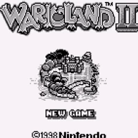 Wario Land II (USA) (SGB Enhanced) Gameboy game