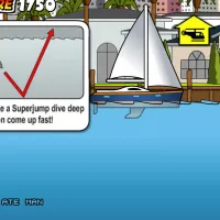 Miami_Shark