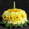 Carnation Cake Jigsaw Carnation Cake Jigsaw