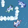 Polarbear Racing Polarbear Racing
