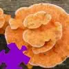 Mushrooms Jigsaw Puzzle game