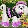 Cute Puppy Dress Up Dress-up game