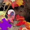 Turkey Jigsaw Puzzle game