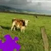 Pasture Jigsaw Puzzle game