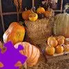 Pumpkins Jigsaw Puzzle game