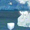 Polar Bear Crossing Polar Bear Crossing