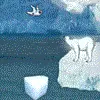 Polar Bear Crossing Skill game