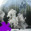 Winter in Yosemite Jigsaw Puzzle game