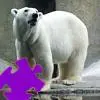 Polar Bear Jigsaw Puzzle game