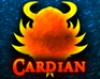 Cardian Music game
