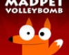 Madpet Volleybomb Misc game