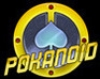 Pokanoid Puzzle game