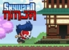 Skyward Ninja Action game