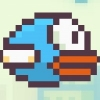 Flappy Fowl Arcade game