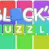Blocks Puzzle Puzzle game