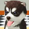 dog-simulator Funny game