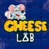 Cheese lab Arcade game