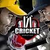 Cricket World Cup Sports game