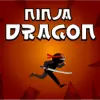 Ninja dragon 5-minutes game