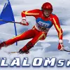 Slalom Ski Simulator Sports game