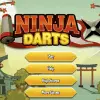 Ninja Darts Shooting game