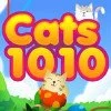 Cats 1010 Puzzle game