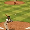 Baseball Pro Game Sports game