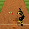 Cricket Batter Challenge Sports game