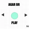 Agar BR Strategy game