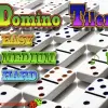 Domino Tiler Puzzle game