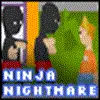 Ninja Nightmare Misc game