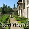 Secret Vineyard Adventure game