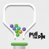 Pull the Pin Puzzle game