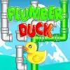 Plumber Duck Puzzle game