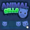 Animal Cells Puzzle game