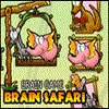 Brain Safari Misc game