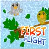 First Flight Misc game