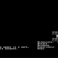 DungeonCrawl Commodore 64 game