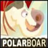 Polar boar Misc game