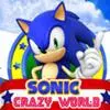 Sonic Crazy World Platform game