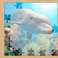 Jigsaw Puzzle Deluxe Puzzle game