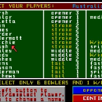Robin Smith's International Cricket Amiga game