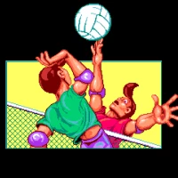 Beach Volley Amiga game