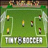 Tiny Soccer Misc game