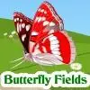 Butterfly Fields Puzzle game